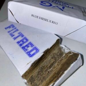 MOUNTAIN GIANTS FILTRED DRY HASH 2K26